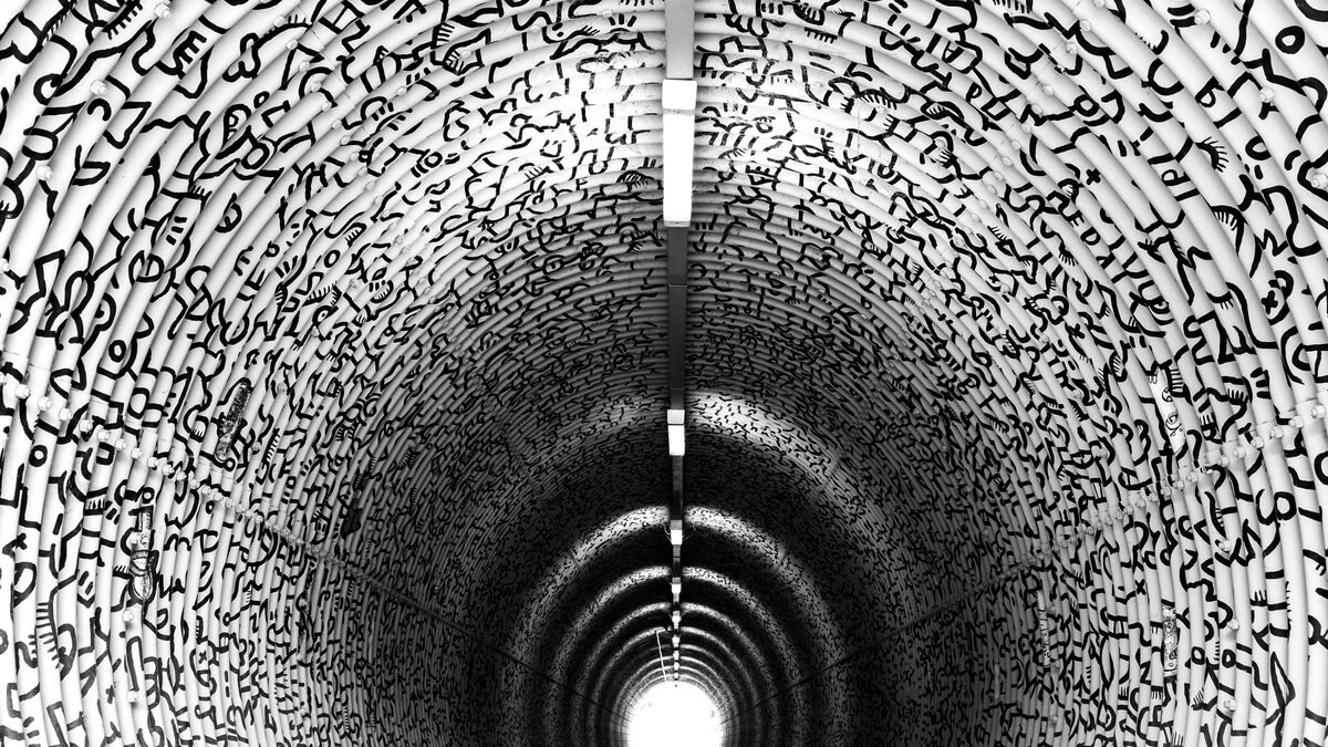 Elon Musk DOGE AI VA Claims