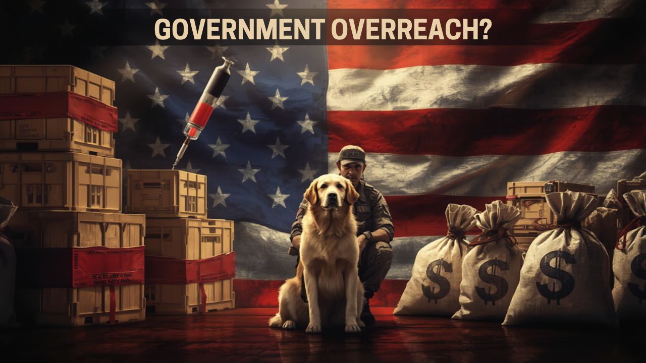 Service dogs
imports government overreach